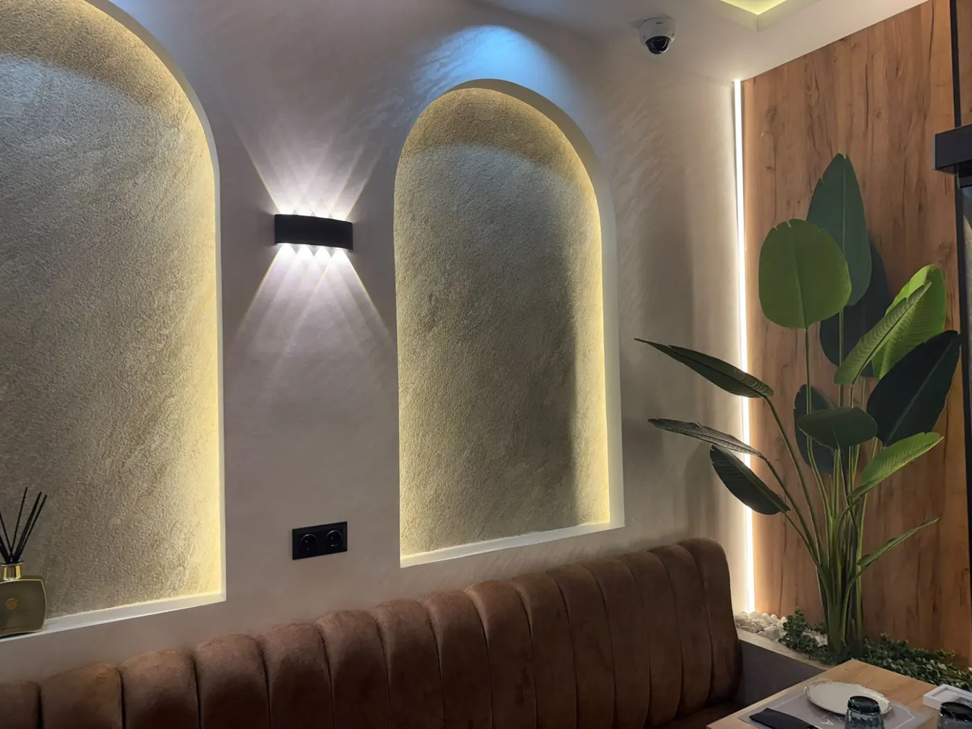 Nichos en arco con luz cálida y planta tropical