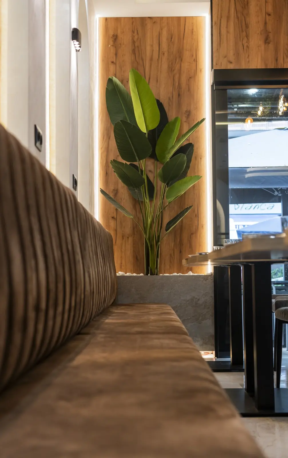 Ambiente acogedor en Nayam